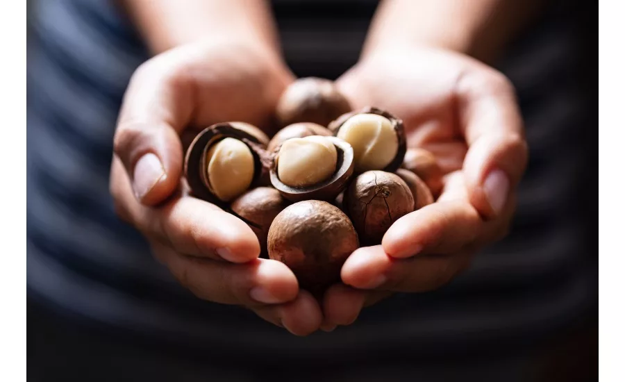 World Macadamia Organisation launches in Singapore
