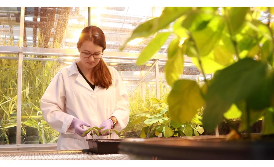 U.S. Soy hosts virtual training on gene editing