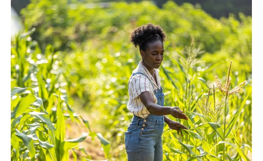 TRISCUIT awards $50K to local nonprofits to increase access to nourishing food across U.S.