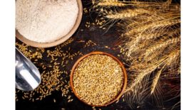 Italian flour companies launch campaign to promote organic flours