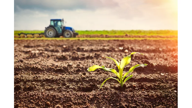 Primient launches as producer of food and industrial products made from plant-based