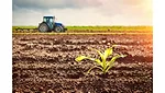 Primient launches as producer of food and industrial products made from plant-based