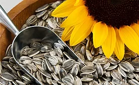 Burcon receives co-investment from Protein Industries Canada