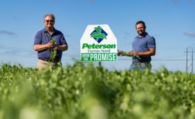 Equinom, Peterson Farms Seed partner to commercialize high-protein, Non-GMO yellow pea