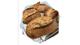 Upcycled Foods Inc. adds to ingredient portfolio
