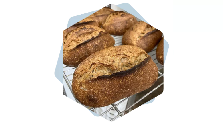 Upcycled Foods Inc. adds to ingredient portfolio