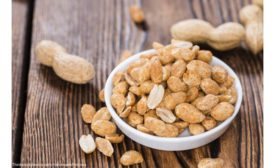 Seasoned nuts