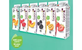 Les vergers Boiron fruit purees