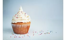 Planteneers' product range opens new potential for baked goods manufacturers  