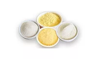 Limagrain Ingredients new brand of functional flours Limagrain Ingredients new brand of functional flours