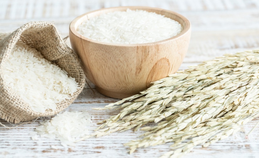 New rice protein launched by Roquette