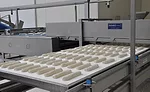 Bakers reinvent their breads to meet changing consumer trends, bolster sales