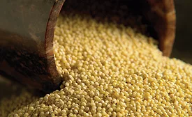 Multiple consumer trends continue to drive the gluten-free category