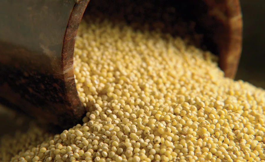 Multiple consumer trends continue to drive the gluten-free category