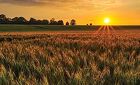 Consumer environmental concerns drive food processors toward sustainability