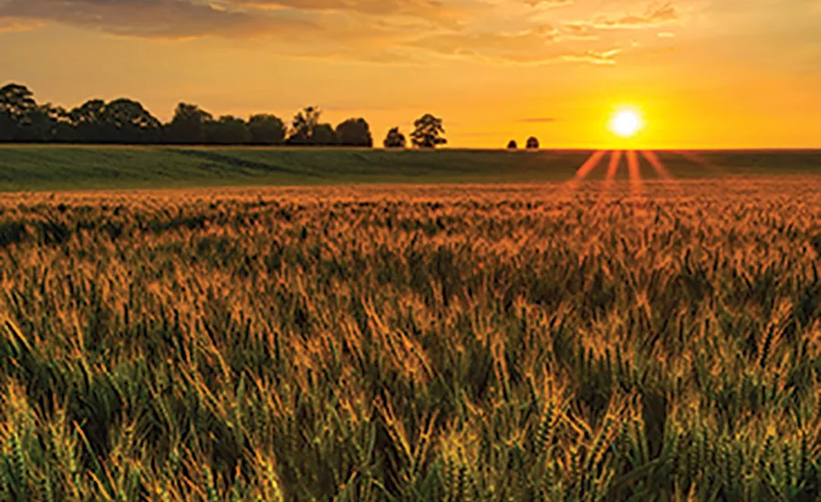 Consumer environmental concerns drive food processors toward sustainability