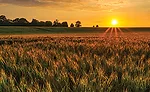 Consumer environmental concerns drive food processors toward sustainability