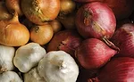 Consumer environmental concerns drive food processors toward sustainability