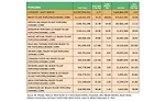 State of the Industry: Clean-label and flavor innovation drive popcorn sales forward