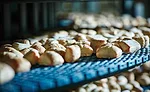 New opportunities for buns and rolls