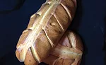Formica Bros. Bakery and the legacy of Atlantic City artisan bread