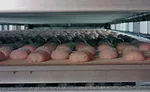 La Brea Bakery, artisan bakery to the nation