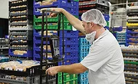 Software solutions bring the connected warehouse to life