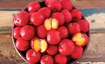 Consumers desire more than just nutrition in snacks