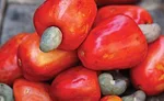 Consumers desire more than just nutrition in snacks