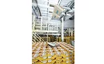Traceability provides transparency, clarity in the supply chain