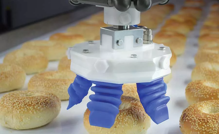 Product handling equipment evolves to address product changeover, productivity