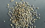 Nutritional and functional ingredients for healthy snacks and baked goods