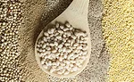 Whole and ancient grains bring nutrition and functionality to snacks and baked goods