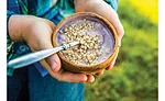 Whole and ancient grains bring nutrition and functionality to snacks and baked goods