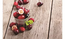 Fruit ingredients deliver flavor, color and nutritional benefits to snacks and baked goods