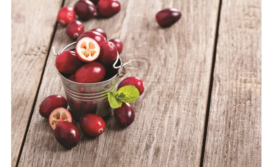 Fruit ingredients deliver flavor, color and nutritional benefits to snacks and baked goods