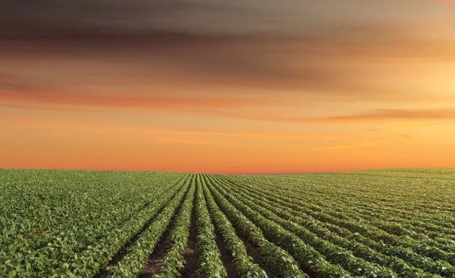 Sustainability proves to be more than just a trend
