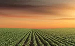 Sustainability proves to be more than just a trend