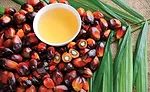 Sustainability proves to be more than just a trend