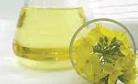 1 Functional ingredients provide multiple benefits to snacks and baked goods