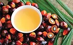 Functional ingredients provide multiple benefits to snacks and baked goods