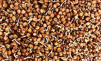 3 Improving snacks and baked goods with healthy grain ingredients