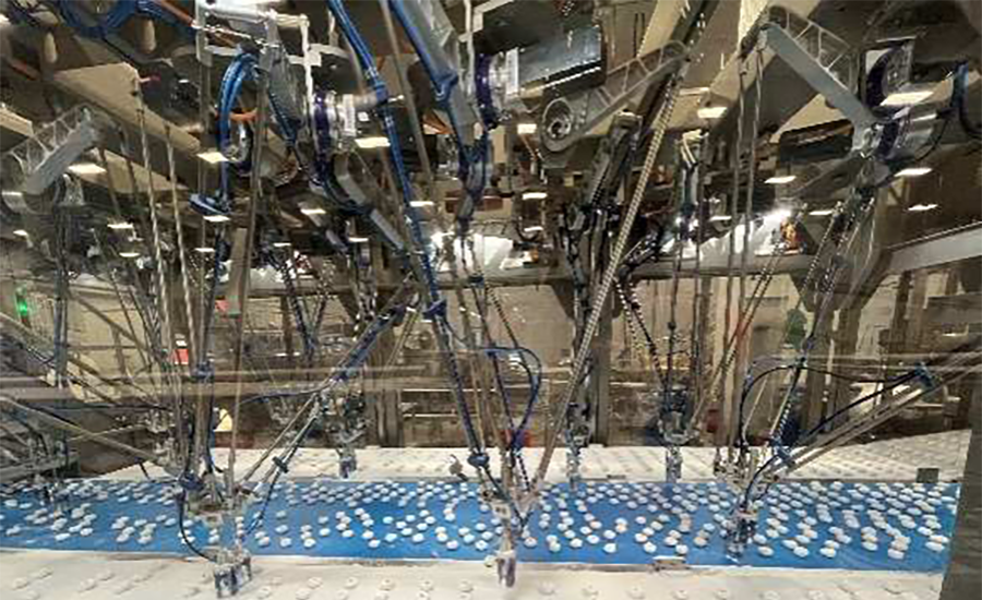 Royal Houdijk pick-and-place machine
