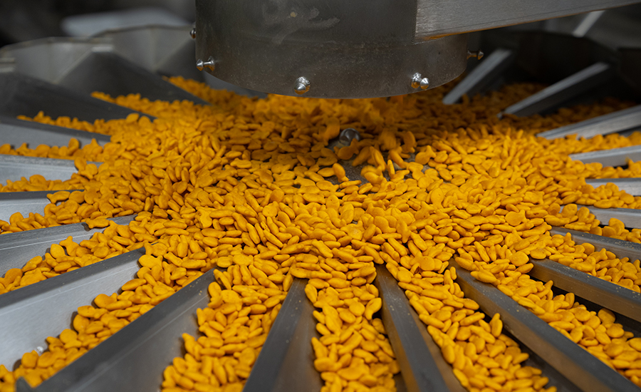 Goldfish cracker weighing