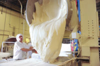 Labriola flour power 