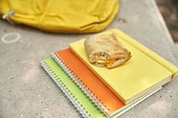 Hot Pocket introduces Deliwich: no microwave required Hot Pocket introduces Deliwich: no microwave required
