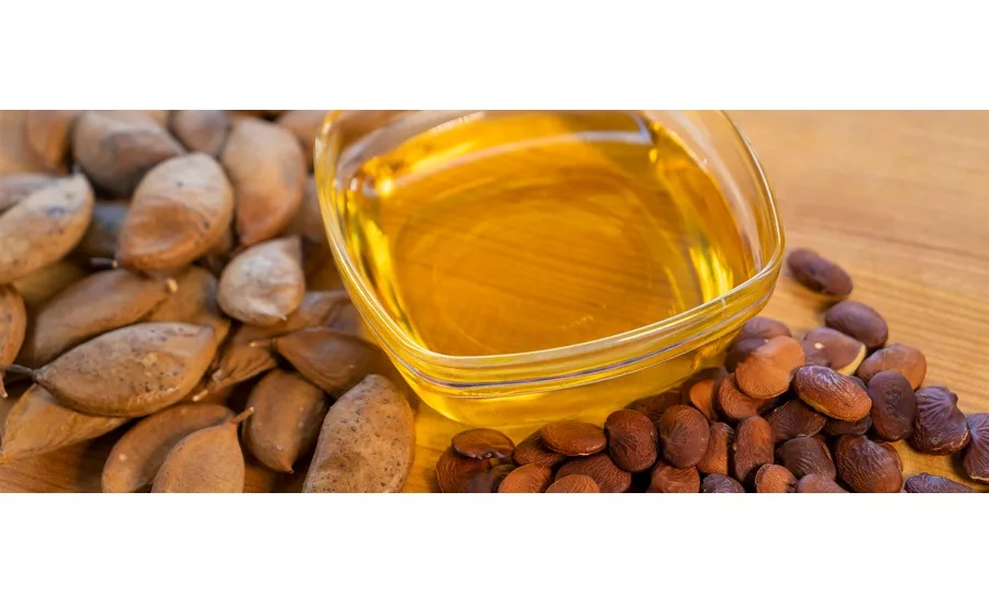 Ciranda, Terviva partner to bring Ponova oil to market