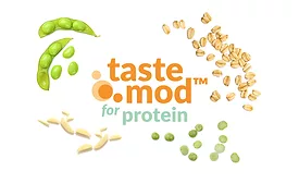 Better taste solutions for plant-based protein products