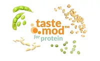 Better taste solutions for plant-based protein products