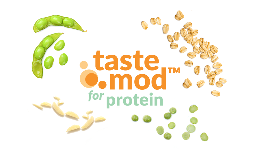 Better taste solutions for plant-based protein products